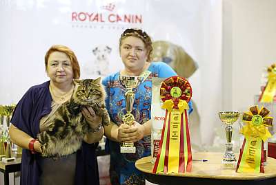 �������� �����  20-21 �������� 2014 ������������ ��� 1-267-169A2268 copy.jpg